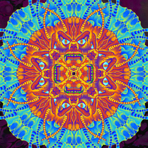 Monster Mandala 16x16 poster
